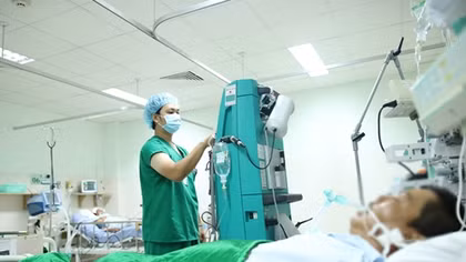Cứu sống bệnh nhân bị ong mật đốt 250 mũi