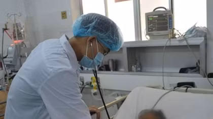 Suýt mất mạng do ngộ độc cá nóc