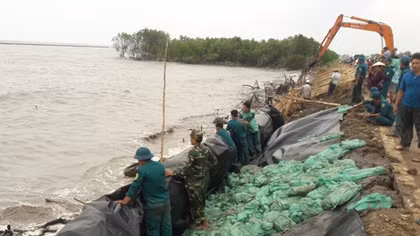 Chung tay bảo vệ đê biển Tây 