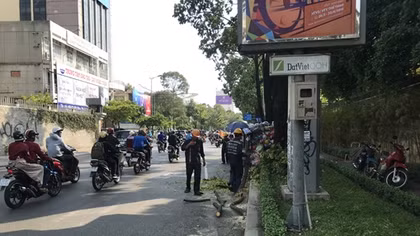 Cô gái ngất xỉu vì cành cây rơi trúng đầu