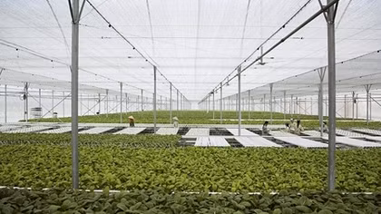2 năm phát triển của VinEco