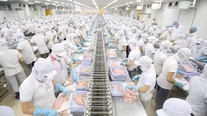 Sẽ sửa đổi những vướng mắc về an toàn thực phẩm