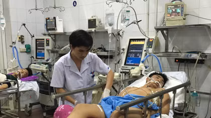 13 người quyên sinh bằng thuốc diệt cỏ Paraquat trong dịp Tết