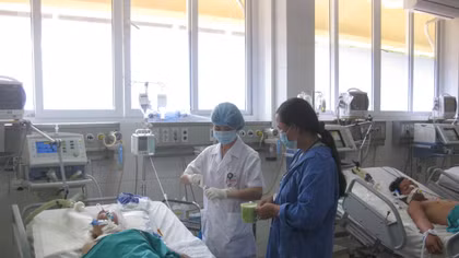 Cảnh báo bệnh liên cầu lợn dịp cuối năm