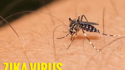 Bệnh sốt xuất huyết và Zika có nguy cơ bùng phát trở lại