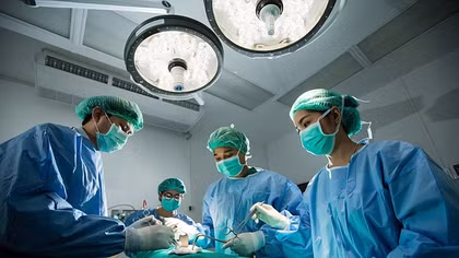 Suýt bỏ mạng vì ăn ếch sống để chữa bệnh thấp khớp