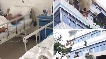 Người mẹ quả cảm qua đời sau khi cố gắng cứu 2 con khỏi chết cháy