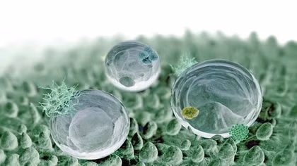 Iran tạo thành công hydrogel mới có thể trị khỏi ung thư