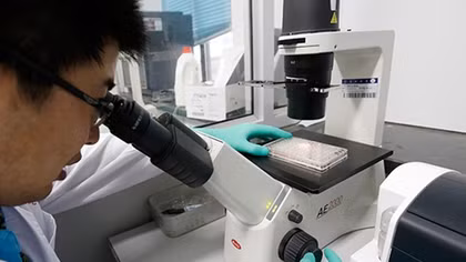 Tìm ra kháng thể hứa hẹn tiềm năng tạo ra vaccine chống virus Zika