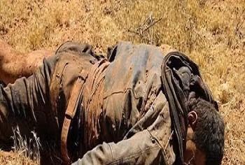 Iraq tiêu diệt một “phó tướng” của trùm khủng bố IS Baghdadi