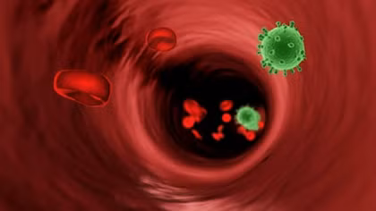 Israel tìm ra “chiến binh mới” có thể tiêu diệt hoàn toàn virus HIV