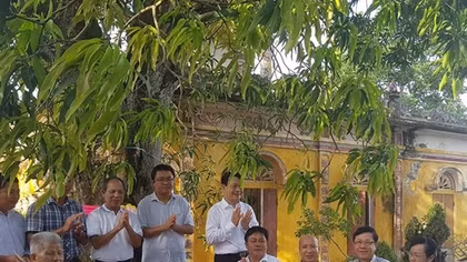Công nhận thêm 5 cây di sản tại tỉnh Nam Định