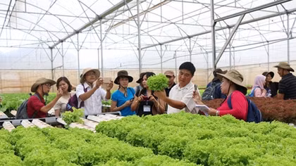 Đổi mới kỹ thuật số trong sản xuất nông nghiệp ở ASEAN