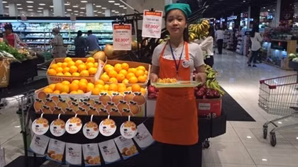 "Cam Australia đang vào mùa" tại Việt Nam