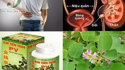 Thu hồi thuốc Kim tiền thảo không đạt chất lượng