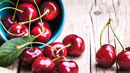 Cherry Australia đã trở lại Việt Nam
