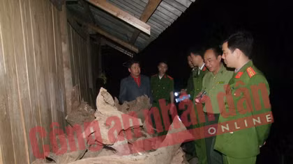 Liên tiếp phát hiện, thu giữ nhiều gỗ quý