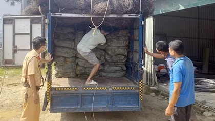 Phát hiện hơn 2 tấn nguyên liệu thuốc lá nhập lậu
