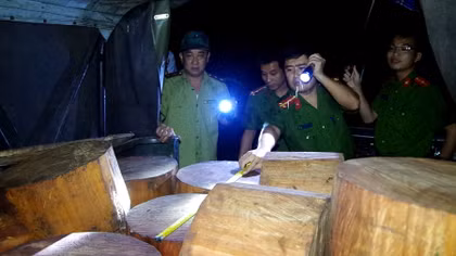 Chở hàng chục thớt gỗ nghiến trong đêm vẫn bị phát hiện, bắt giữ