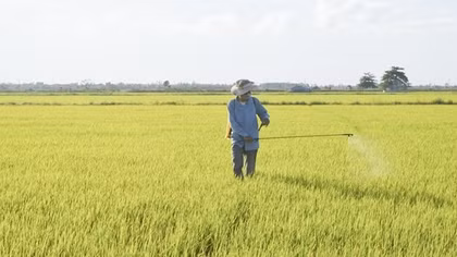 Việt Nam loại bỏ thuốc bảo vệ thực vật có chứa Glyphosate gây ung thư