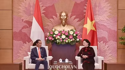 Chủ tịch Quốc hội Nguyễn Thị Kim Ngân hội kiến Tổng thống Indonesia