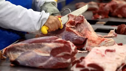 Phát hiện virus Corona trên bao bì đông lạnh nhập khẩu