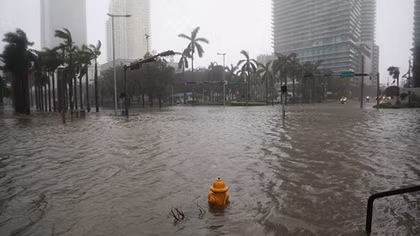 Siêu bão Irma nhấn chìm miền Trung Florida