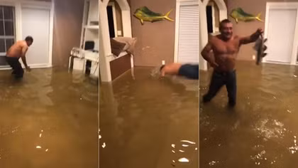 Tay không bắt cá trong nhà sau siêu bão Harvey 