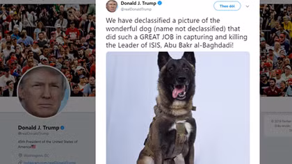 Ông Trump tuyên dương chú chó truy đuổi thủ lĩnh IS