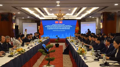 Việt Nam - Trung Quốc phối hợp triệt phá nhiều vụ án ma túy lớn 