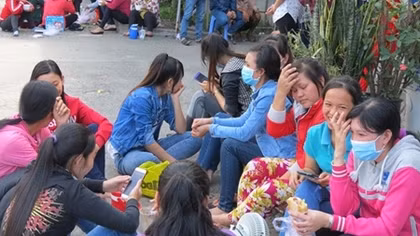 TP Hồ Chí Minh: Hơn 4.000 doanh nghiệp nợ bảo hiểm xã hội 1.246 tỷ đồng