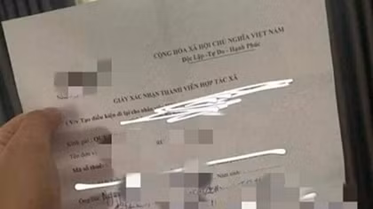 Giám đốc ký "giấy thông hành" cho con gái bị phạt 7,5 triệu đồng