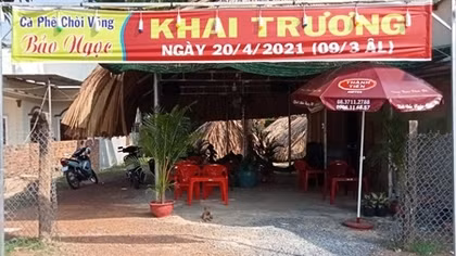 Vừa khai trương, chủ quán cafe bị bắt vì môi giới mại dâm