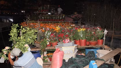 TP Hồ Chí Minh hỗ trợ các thương nhân kinh doanh hoa Đà Lạt