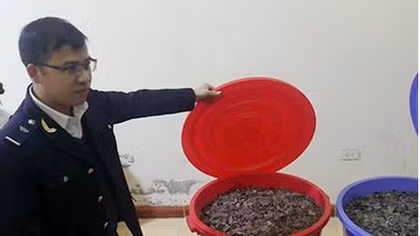 100kg vẩy têtê giấu trong valy