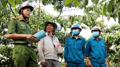 Chủ động phòng, chống tội phạm trong mùa thu hoạch cà phê