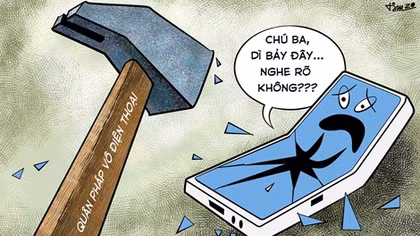 Phỏng vấn gốc cây