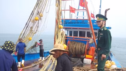 Ngăn chặn tàu giã cào đánh bắt vùng biển gần bờ