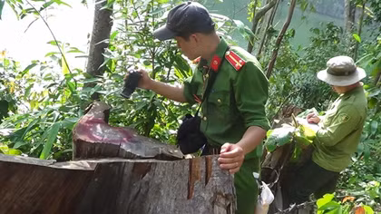 Chiến công của những người lính bảo vệ môi trường