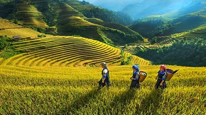 Bắc Bộ nắng nóng giảm nhiệt, chiều tối đổ mưa giông