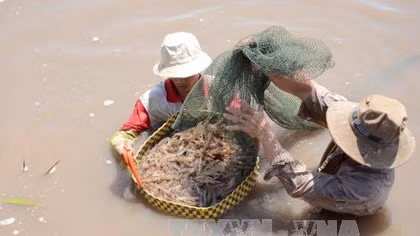 Bổ sung 3 sản phẩm vào Chương trình phát triển quốc gia
