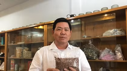 Tìm tương lai trong giống lúa cổ