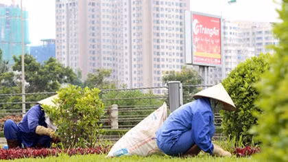 Cần cơ chế cho doanh nghiệp tư nhân tham gia dịch vụ công ích