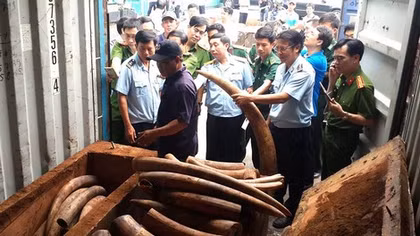 Triệt phá nhiều đường dây buôn lậu núp dưới chiêu bài hàng quá cảnh
