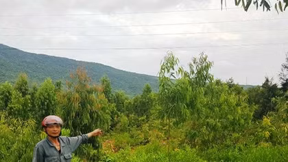 Cần giải quyết thỏa đáng quyền lợi cho các hộ dân ở chân đèo Ngang