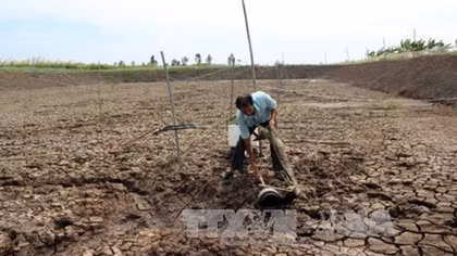 Hỗ trợ 231,5 tỷ đồng khắc phục hậu quả hạn hán và xâm nhập mặn