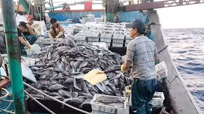 Một tàu cá Nghệ An bị chìm trên biển