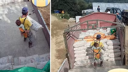 Nghẹn ngào hình ảnh người cha địu con khuân vác xi măng