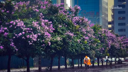 Hà Nội lất phất mưa, tiết trời mát mẻ