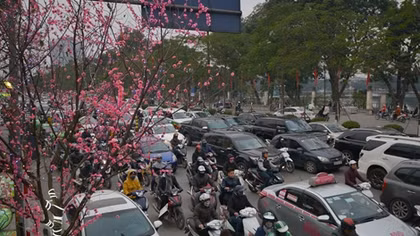 Những tín hiệu vui đầu năm mới